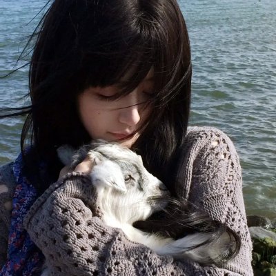 花游记